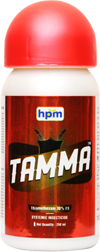 tamma